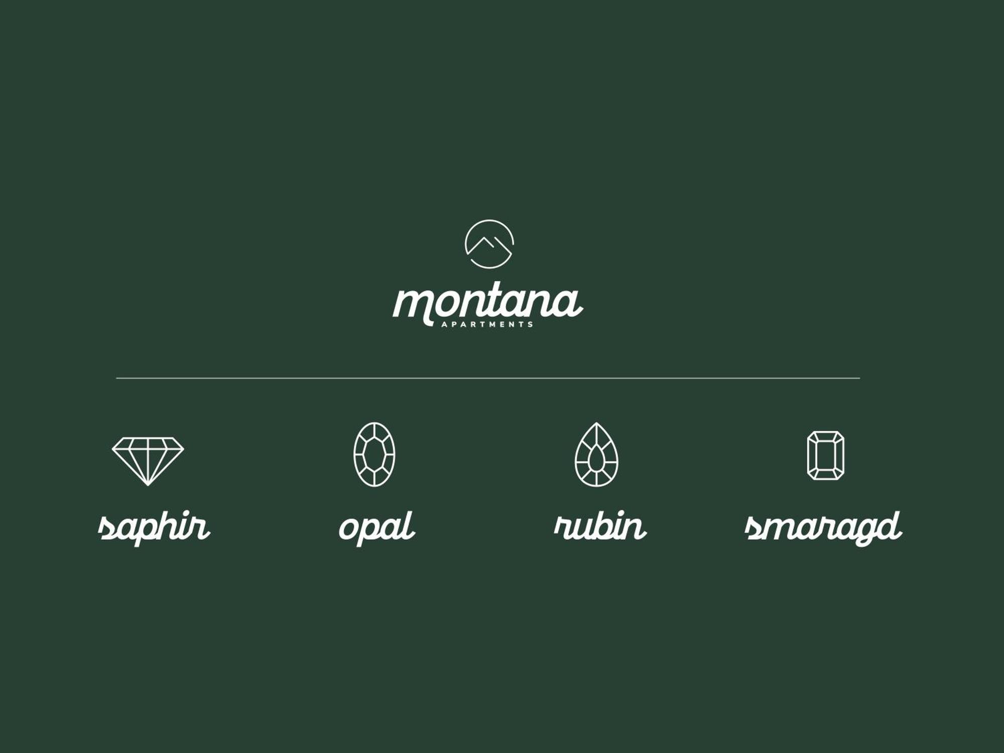 Montana Apartments 迈尔霍芬 外观 照片